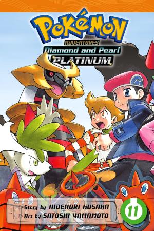 Cover of the book Pokémon Adventures: Diamond and Pearl/Platinum, Vol. 11 by Yuu Watase