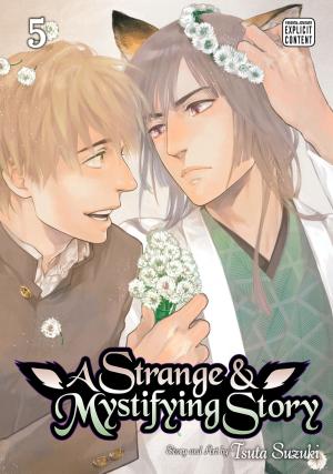 Book cover of A Strange and Mystifying Story, Vol. 5 (Yaoi Manga)
