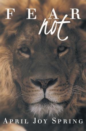 Cover of the book Fear Not by Elizabeth James