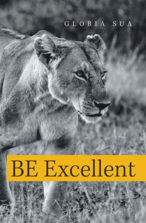 Book cover of Be Excellent
