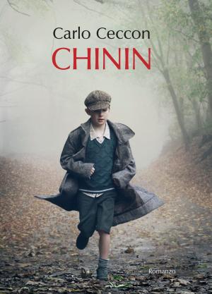 Cover of the book Chinin by Paul Stegweit