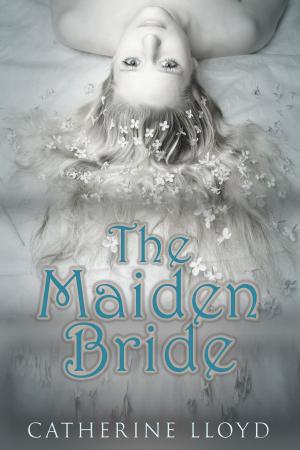 Cover of the book The Maiden Bride by Scott Meehan
