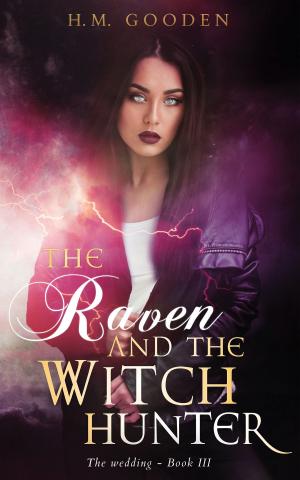 Book cover of The Raven and The Witch Hunter