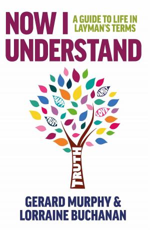 Cover of the book Now I Understand by Candy Paull