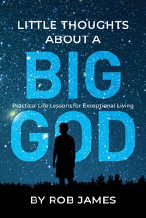 Book cover of Little Thoughts About a Big God