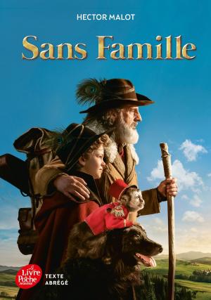 Book cover of Sans famille - Texte Abrégé 2018