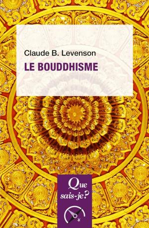 Cover of the book Le bouddhisme by Michaël Foessel