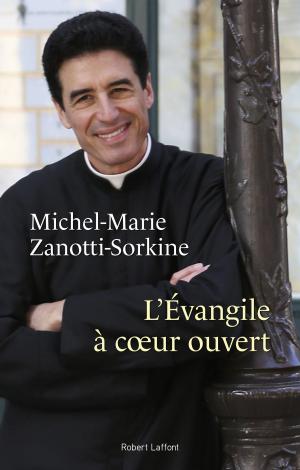 Cover of the book L'Évangile à coeur ouvert by Béatrix de L'AULNOIT, Philippe ALEXANDRE