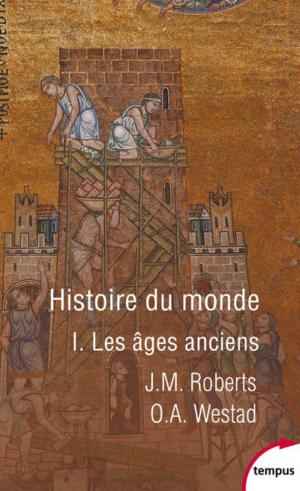 Cover of the book Histoire du monde - Tome 1 by Jean-Marie QUEMENER
