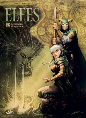 Cover of the book Elfes T22 by Didier Crisse, Evana Kisa