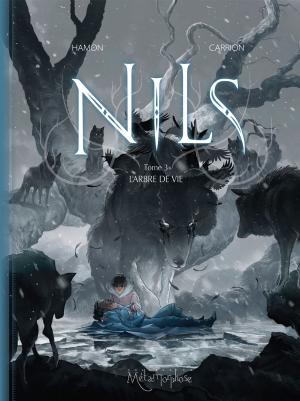 Cover of the book Nils T03 by Nicolas Jarry, Nicolas Demare