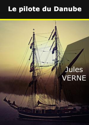 Cover of the book Le pilote du Danube by Jochen Weber