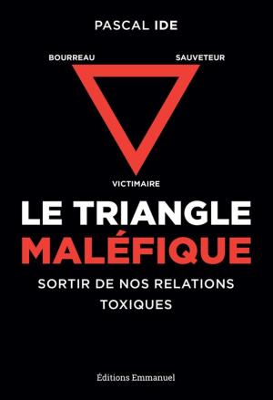Cover of the book Le triangle maléfique by Julien Chouvet