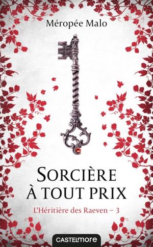 Cover of the book Sorcière à tout prix by Adele Griffin