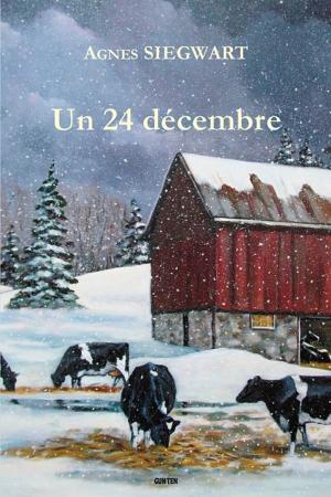 Cover of the book Un 24 décembre by Bernard Fripiat, Catherine Hague