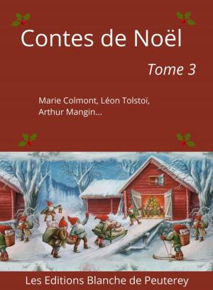 Cover of the book Contes de Noël (Tome 3) by Augustin Crampon