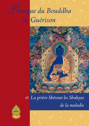 Cover of the book Pratique du Bouddha de la Guérison by Sa Sainteté le Dalaï Lama