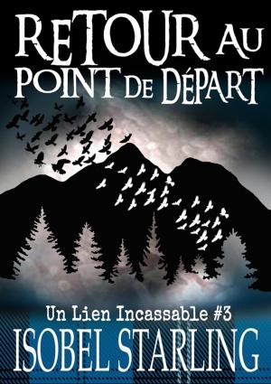Cover of the book Retour au point de départ by Christi Snow