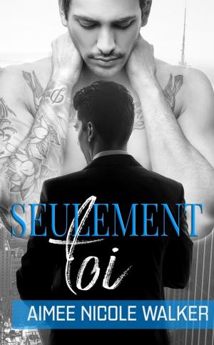 Cover of the book Seulement toi by J.E. Birk