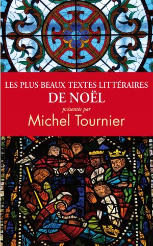 Cover of the book Les plus beaux textes littéraires de Noël by Joyce Carol Oates
