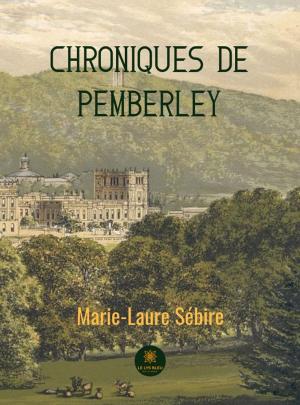 Cover of the book Chroniques de Pemberley by Philippe Muratet, Jean-Christophe Rufin