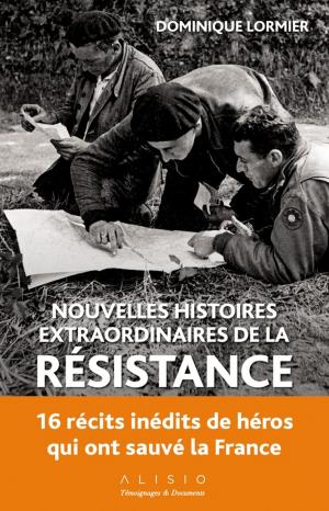 Cover of Nouvelles histoires extraordinaires de la résistance
