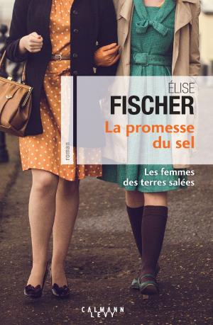 Cover of the book La Promesse du sel (Les Femme des terres salées T.2) by Frédéric Touchard
