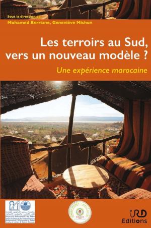 Cover of the book Les terroirs au Sud, vers un nouveau modèle ? by Céline Vacchiani-Marcuzzo, Frédéric Giraut