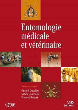 Cover of the book Entomologie médicale et vétérinaire by Anaïs Vassas Toral