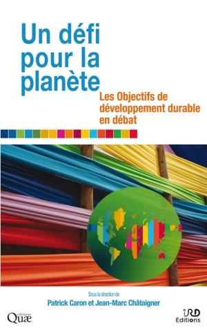 Cover of the book Un défi pour la planète by Hervé Rakoto Ramiarantsoa, Chantal Blanc-Pamard