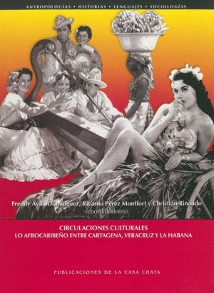 Cover of the book Circulaciones culturales by Anaïs Vassas Toral