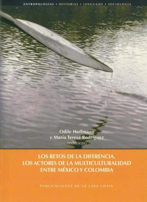 Cover of the book Los retos de la diferencia by Céline Vacchiani-Marcuzzo, Frédéric Giraut