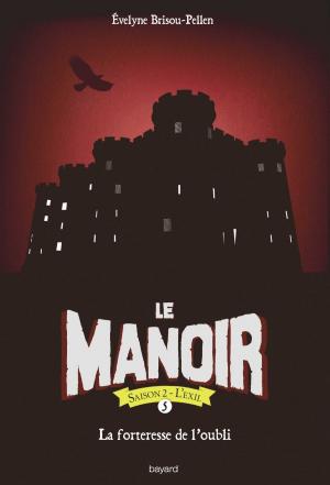 Cover of the book Le manoir saison 2, Tome 05 by Évelyne Reberg, Jacqueline Cohen, Daniel-Rodolphe Jacquette, Catherine Viansson Ponte, Xavier Seguin