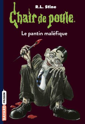 Cover of the book Chair de poule , Tome 14 by Marie Aubinais