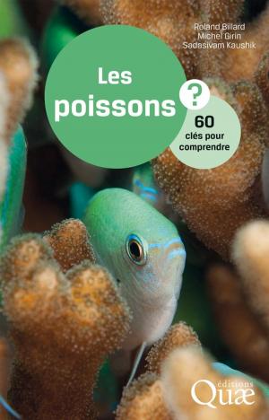 Cover of the book Les poissons by Denis Baize, Michel-Claude Girard