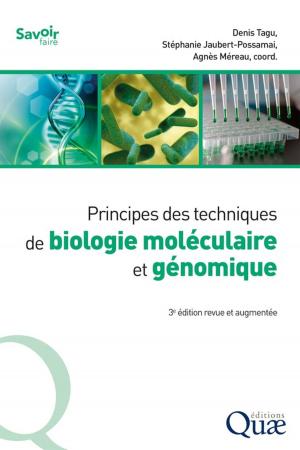 Cover of the book Principes des techniques de biologie moléculaire et génomique by Vincent Piveteau, Thierry Lavoux, Rémi Barré