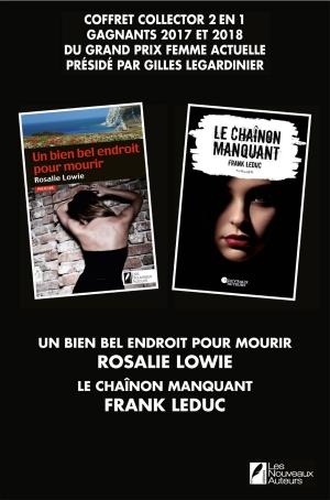 Cover of the book Coffret Collector 2 en 1 gagnants du grand prix Femme Actuelle présidé par Gilles LEGARDINIER by David Coulon