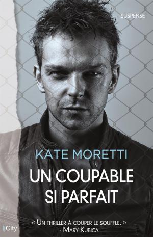Cover of the book Un coupable si parfait by Agnès Ruiz