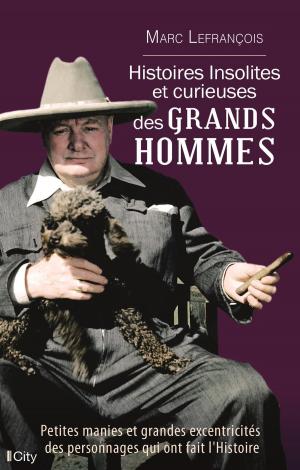 Cover of the book Histoires insolites et curieuses des grands hommes by Marc Lefrançois