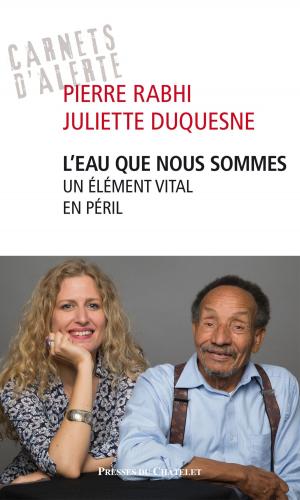 Cover of the book L'eau que nous sommes by Fabrice Midal