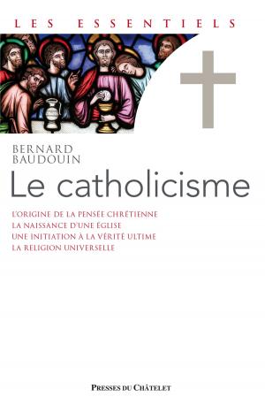 Cover of the book Le catholicisme by Albine Novarino