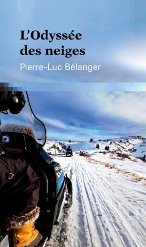 Cover of the book L’Odyssée des neiges by Daniel Marchildon