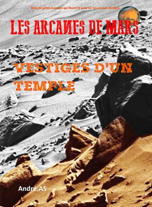 Cover of the book LES ARCANES DE MARS : VESTIGES D'UN TEMPLE by Léon Flavy