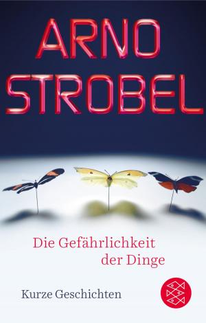 Cover of the book Die Gefährlichkeit der Dinge by Andrew Lane