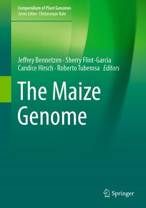 Cover of the book The Maize Genome by Govind Kumar Bagri, Dheeraj K. Bagri, Rajesh Kumari, D L Bagdi