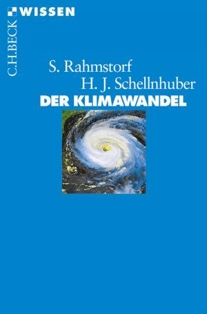 Cover of the book Der Klimawandel by Hubert Wolf