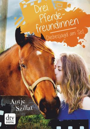Cover of the book Drei Pferdefreundinnen - Diebesjagd am Set by Knut Krüger