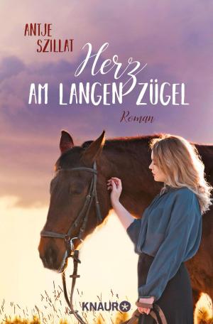 Cover of the book Herz am langen Zügel by Antonia Michaelis