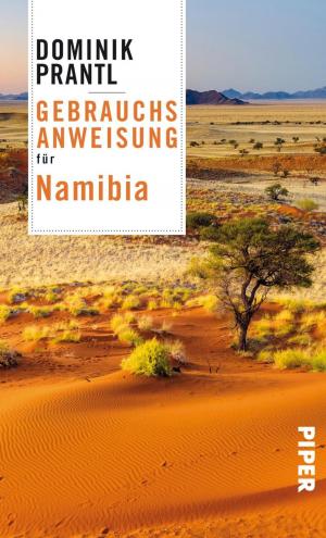 Cover of the book Gebrauchsanweisung für Namibia by Constanze Kleis