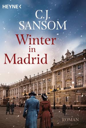 Cover of the book Winter in Madrid by Heike Schwarz, Sara Appelhagen, Kirsten Witte